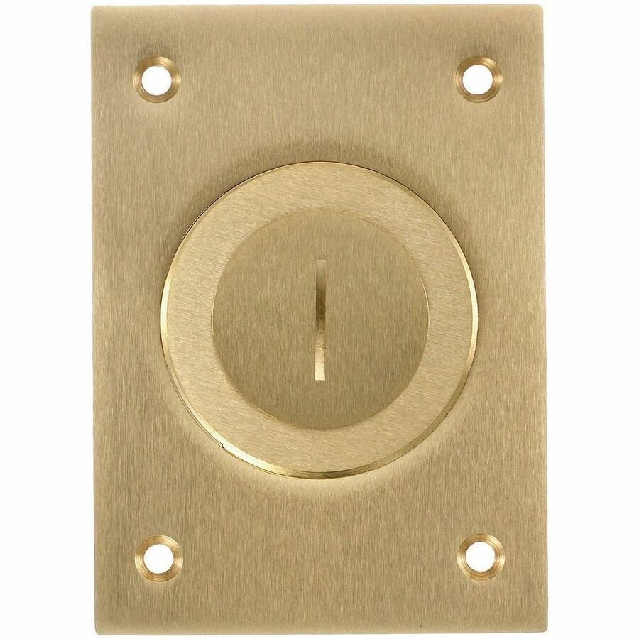 Hubbell Wiring Device-Kellems 1-Gang Cover, Rectangular, Combination 2-1/8"X 1" Threaded Opening, Brass