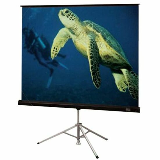 Diplomat/R (Carpeted Case), 84" x 84"