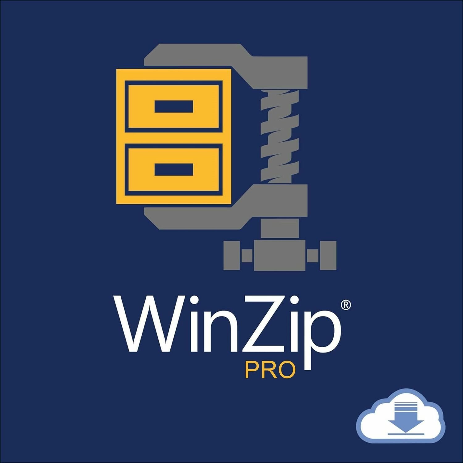 WinZip v. 29 Pro - License - 1 user