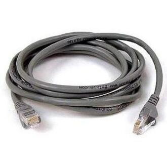 Belkin 1 m Category 5e Network Cable for Network Device