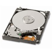 Toshiba MK1252GSX 120 GB Hard Drive - 2.5" - SATA (SATA/300)