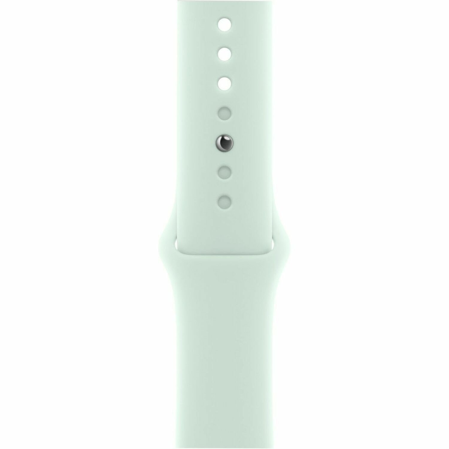 Apple Adjustable Smartwatch Band