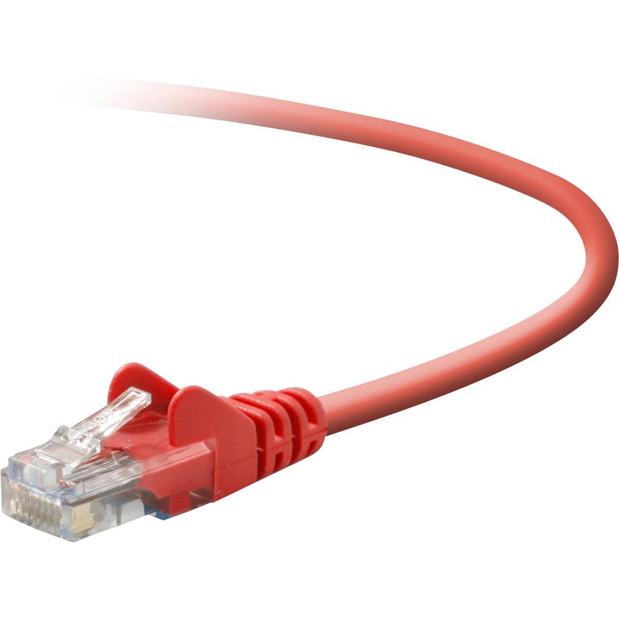 Belkin Cat5e Crossover Cable