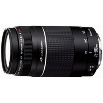 Canon EF 6473A015f/5.6 - Telefoto Zoom Lens