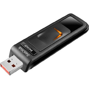 SanDisk 32GB Ultra Backup USB 2.0 Flash Drive