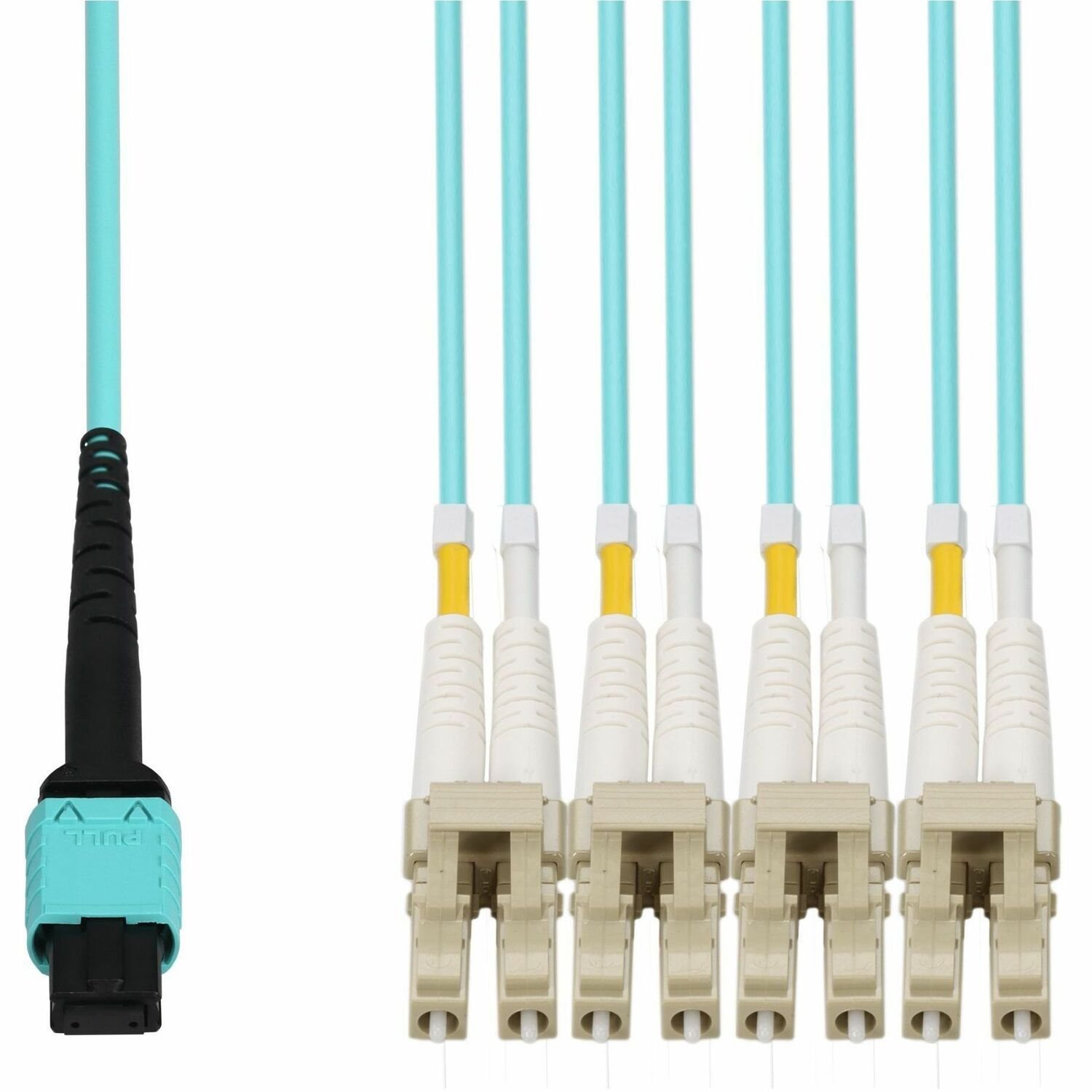 Proline 8m MPO/UPC to 4xLC Duplex (8xLC)/UPC Aqua OM4 OFNR (Riser-Rated) 8-Strand Fiber Fanout Cable