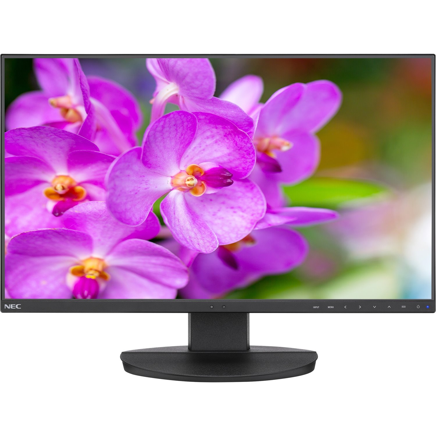 NEC Display MultiSync EA241F-H-BK 23.8" Full HD WLED LCD Monitor - 16:9 - Black