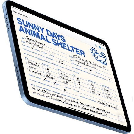 Apple iPad (11th Generation) Tablet - 27.9 cm (11") - 4 GB - 256 GB Storage - 5G - Blue