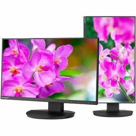Sharp NEC Display MultiSync DD-EA241F 24" Class Full HD LED Monitor - 16:9 - Black