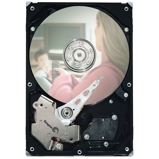 Seagate DB35.3 ST3250820SCE 250 GB Hard Drive - Internal - SATA (SATA/300)