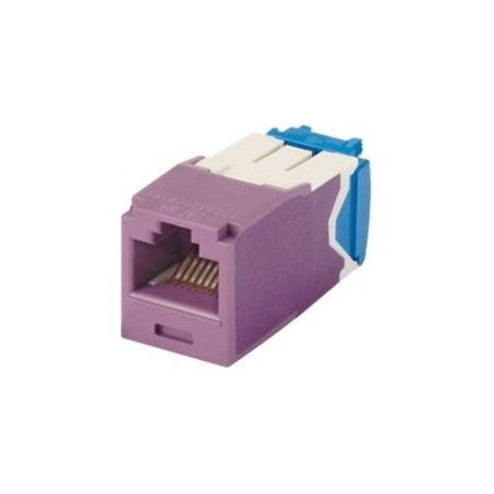 Panduit Mini-Com TX6A UTP Jack Module