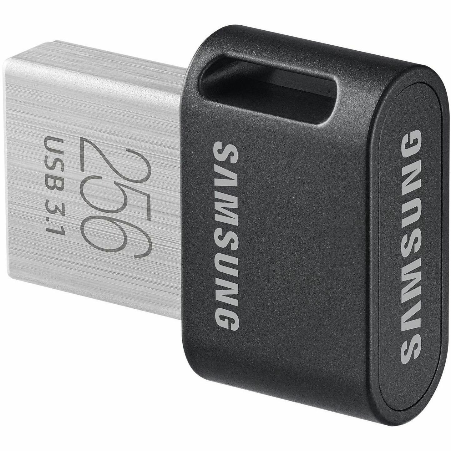Samsung 256 GB USB Flash Drive - Gun Gray