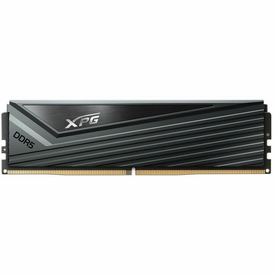 XPG CASTER RAM Module