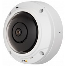 AXIS M3037-PVE 5 Megapixel Outdoor HD Network Camera - Color, Monochrome - Dome