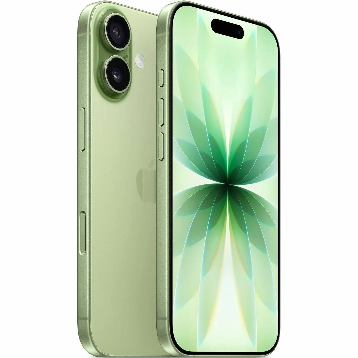 Apple iPhone 17 512 GB Smartphone - 6.3" ProMotion Technology HDR10+ 2622 x 1206 - Hexa-core (A19Dual-core (2 Core) 4.26 GHz + A19 Quad-core (4 Core) - 8 GB RAM - iOS 26 - 5G - Sage