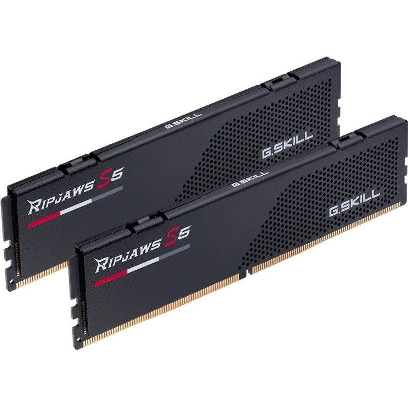 G.SKILL Ripjaws S5 32GB (2 x 16GB) DDR5 SDRAM Memory Kit