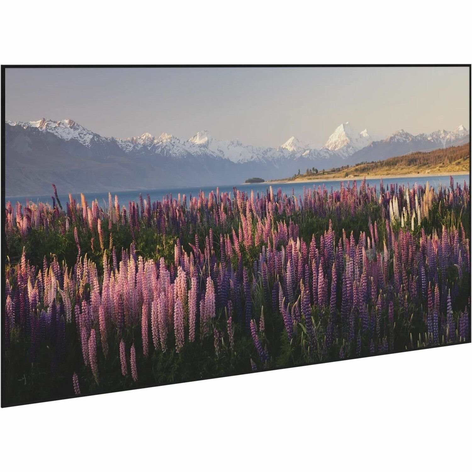 Da-Lite Parallax Thin 100" Fixed Frame Projection Screen