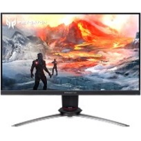 Acer Predator XB253Q GW Full HD LCD Monitor - 16:9 - Black