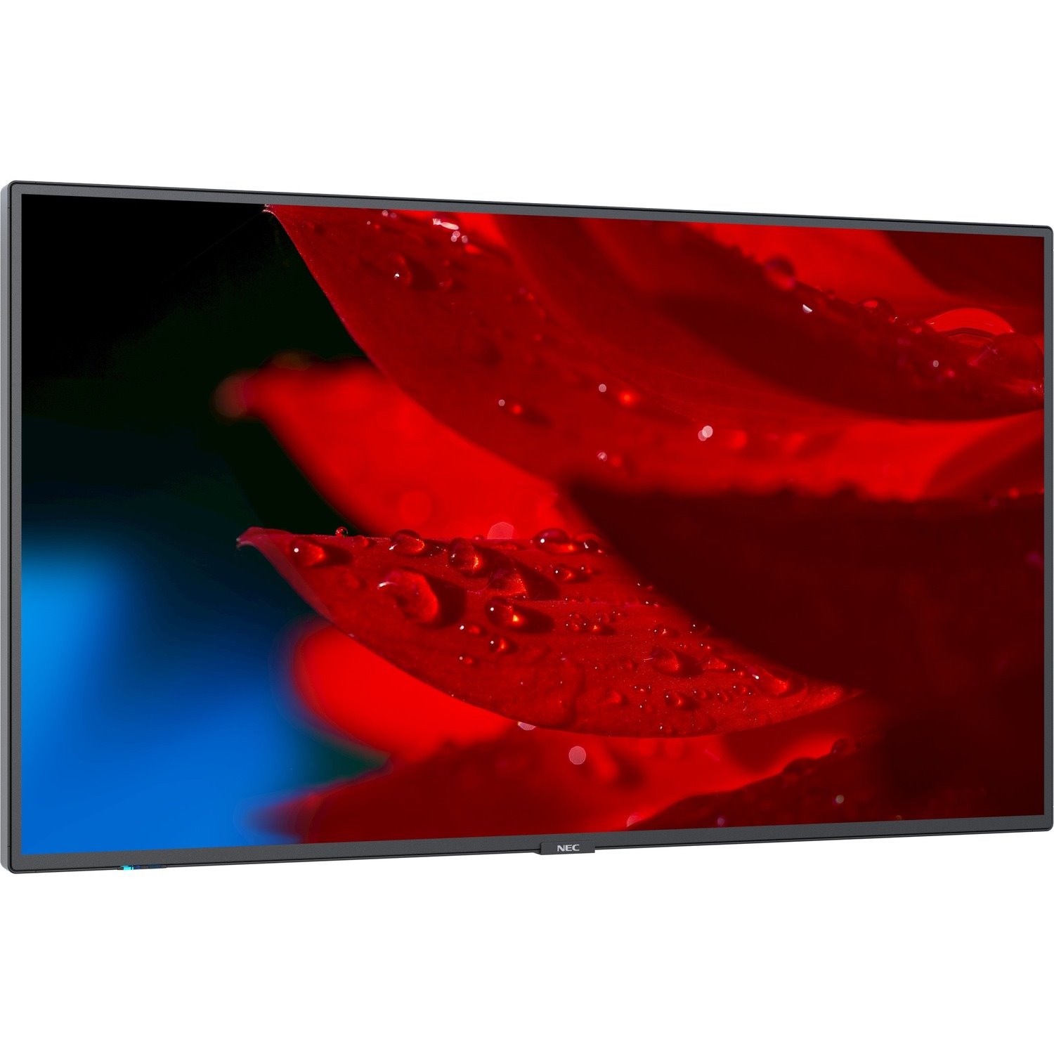 NEC Display 43" Wide Color Gamut Ultra High Definition Professional Display