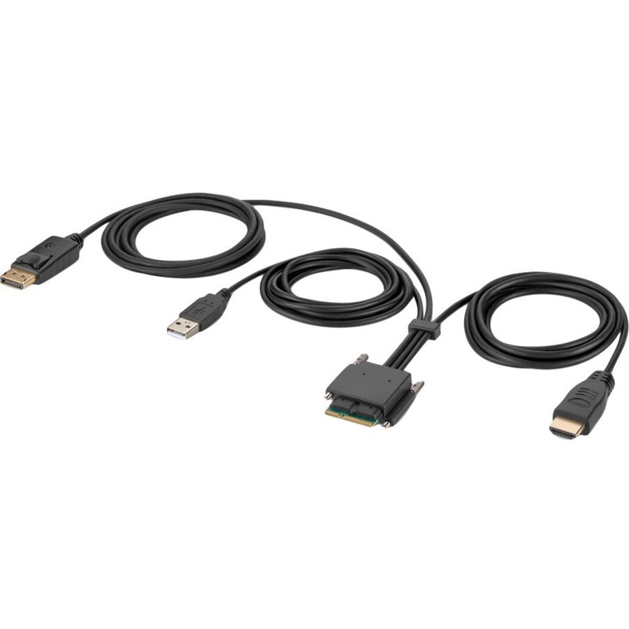 Belkin Modular HDMI and DP Dual-Head Host Cable 6 ft.
