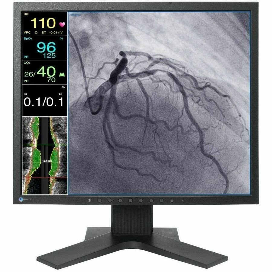 EIZO CuratOR LX1910-S 19" Class SXGA LED Monitor - 5:4 - Black