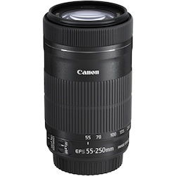 Canon - 55 mm to 250 mmf/5.6 - Zoom Lens for Canon EF-S