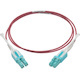 Eaton Tripp Lite Series 10G Duplex Multimode 50/125 OM4 LSZH Fiber Optic Cable (LC/LC), Push/Pull Tabs, Magenta, 1 m