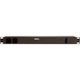 Vertiv Geist Basic 12-Outlets PDU