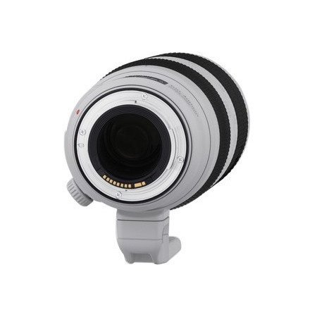 Canon - 100 mm to 400 mmf/5.6 - Telephoto Zoom Lens for Canon EF