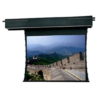 Da-Lite Tensioned Executive 302.3 cm (119") Electric Projection Screen