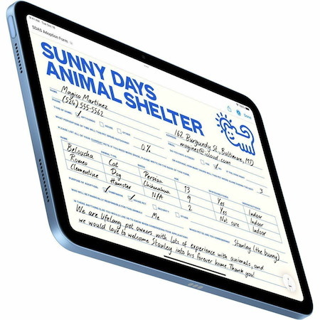 Apple iPad (11th Generation) Tablet - 27.9 cm (11") - 4 GB - 128 GB Storage - Blue