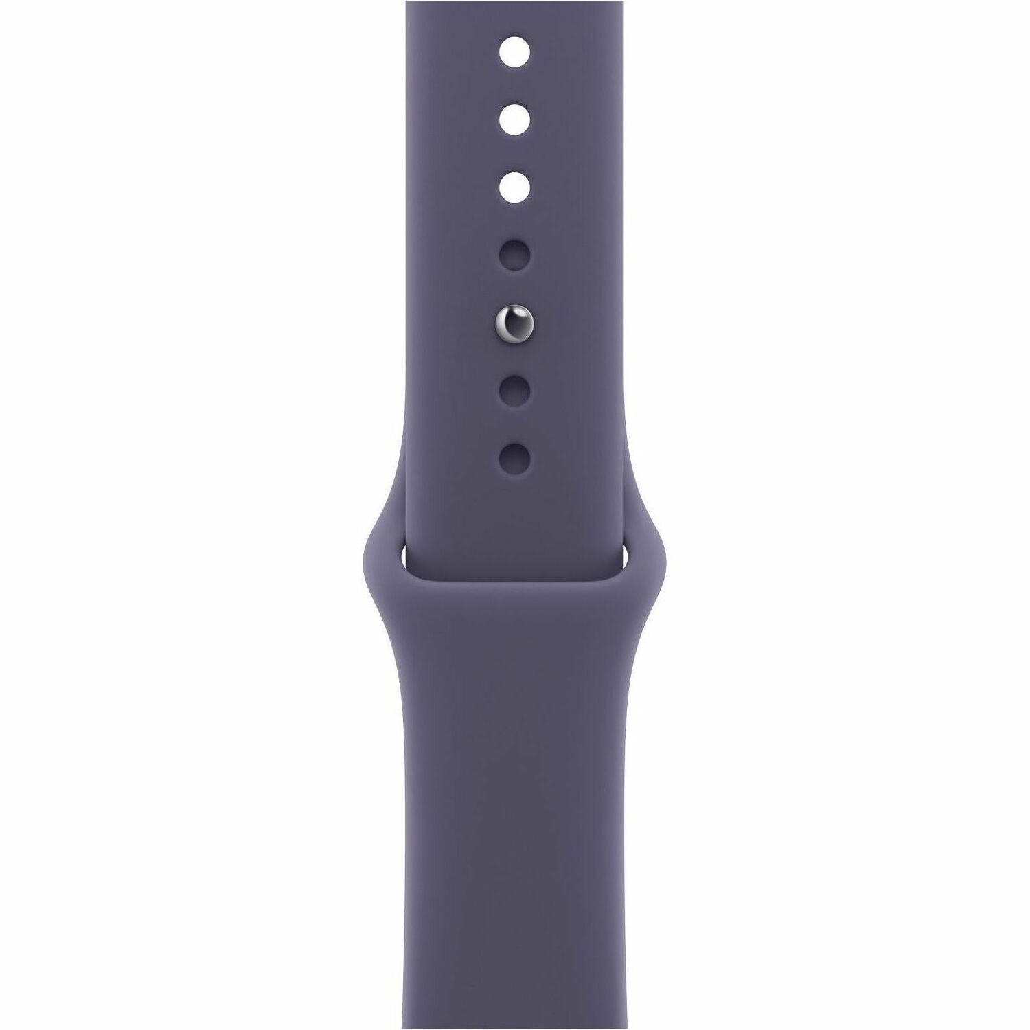 Apple Adjustable Smartwatch Band