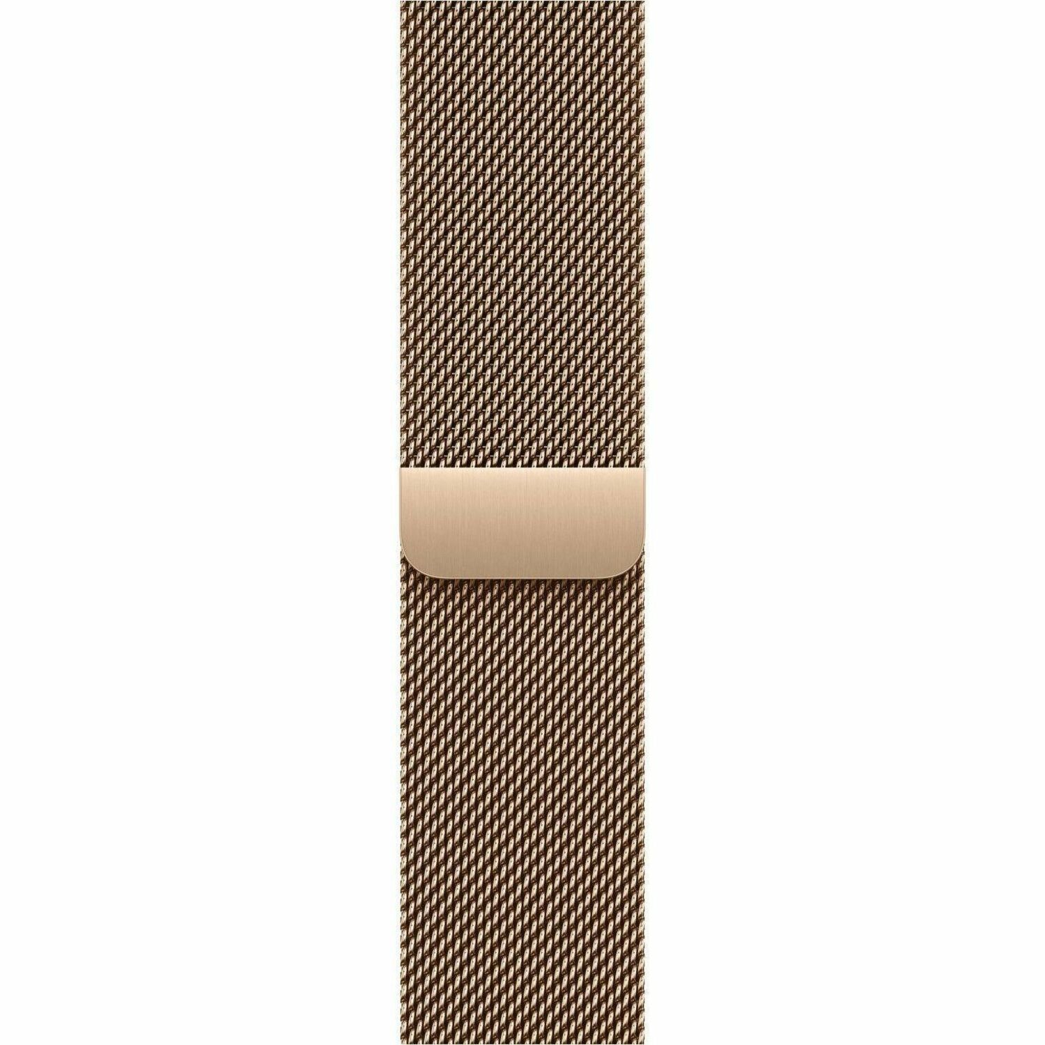 Apple Adjustable Smartwatch Band