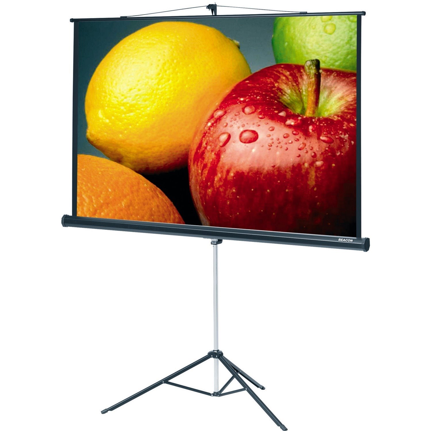 Kensington 251.5 cm (99") Projection Screen