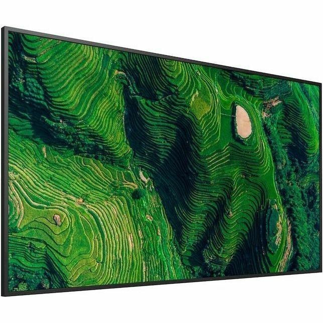 Sony Pro BRAVIA FW-65BZ35P Digital Signage Display