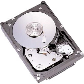 Fujitsu 300GB 10K FC