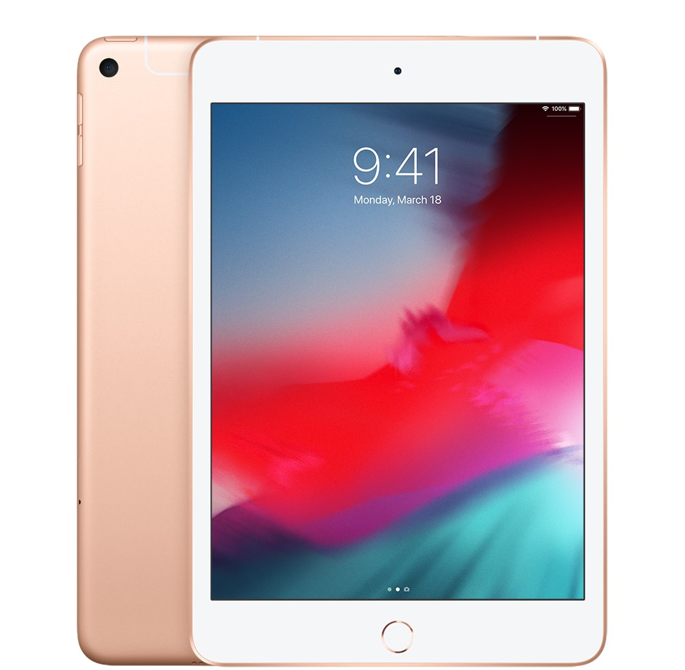 Apple iPad mini (5th Generation) Tablet - 20.1 cm (7.9") - 256 GB Storage - Gold