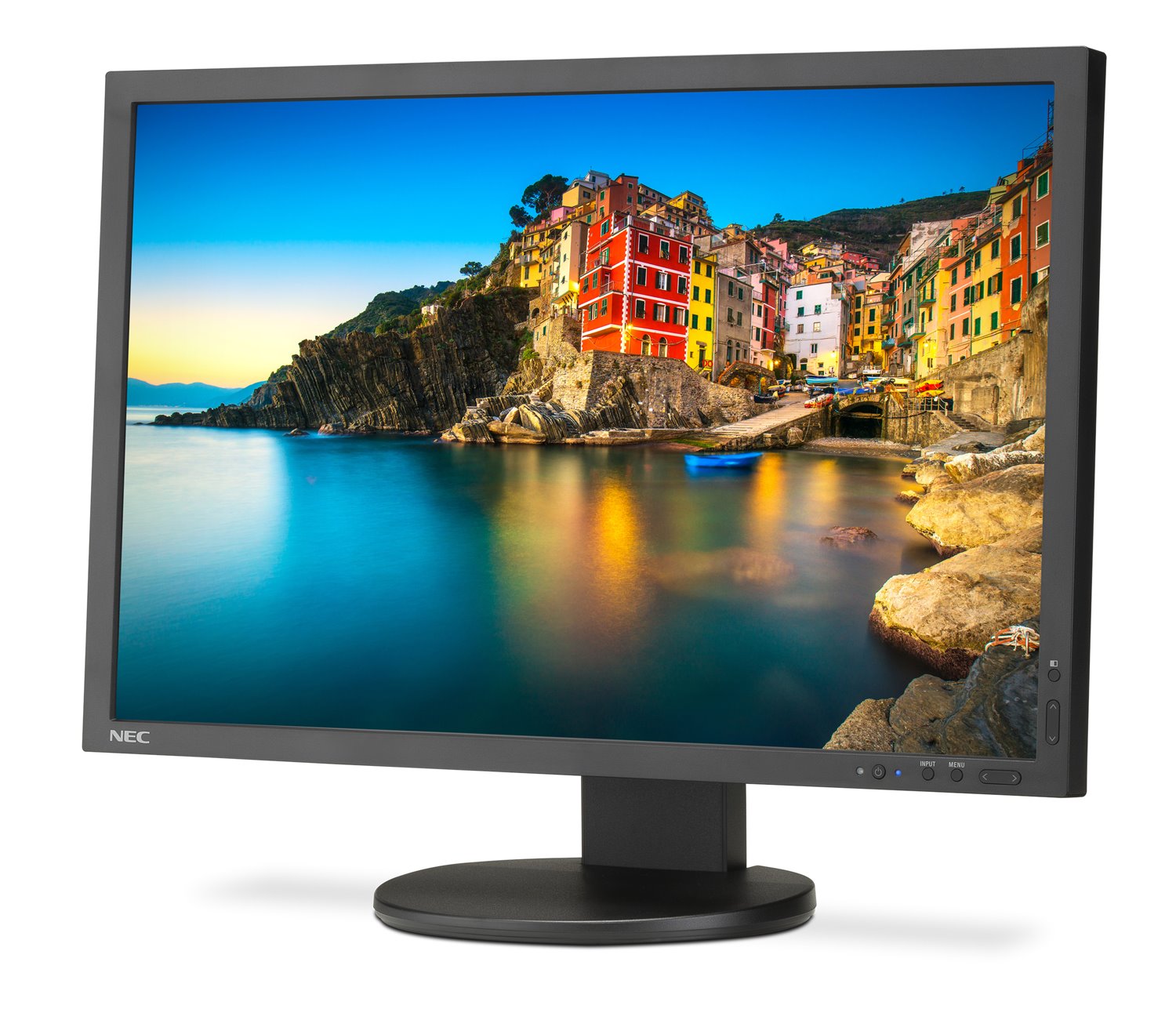 NEC Display Professional P243W-BK 24.1" WUXGA WLED LCD Monitor - 16:10 - Black