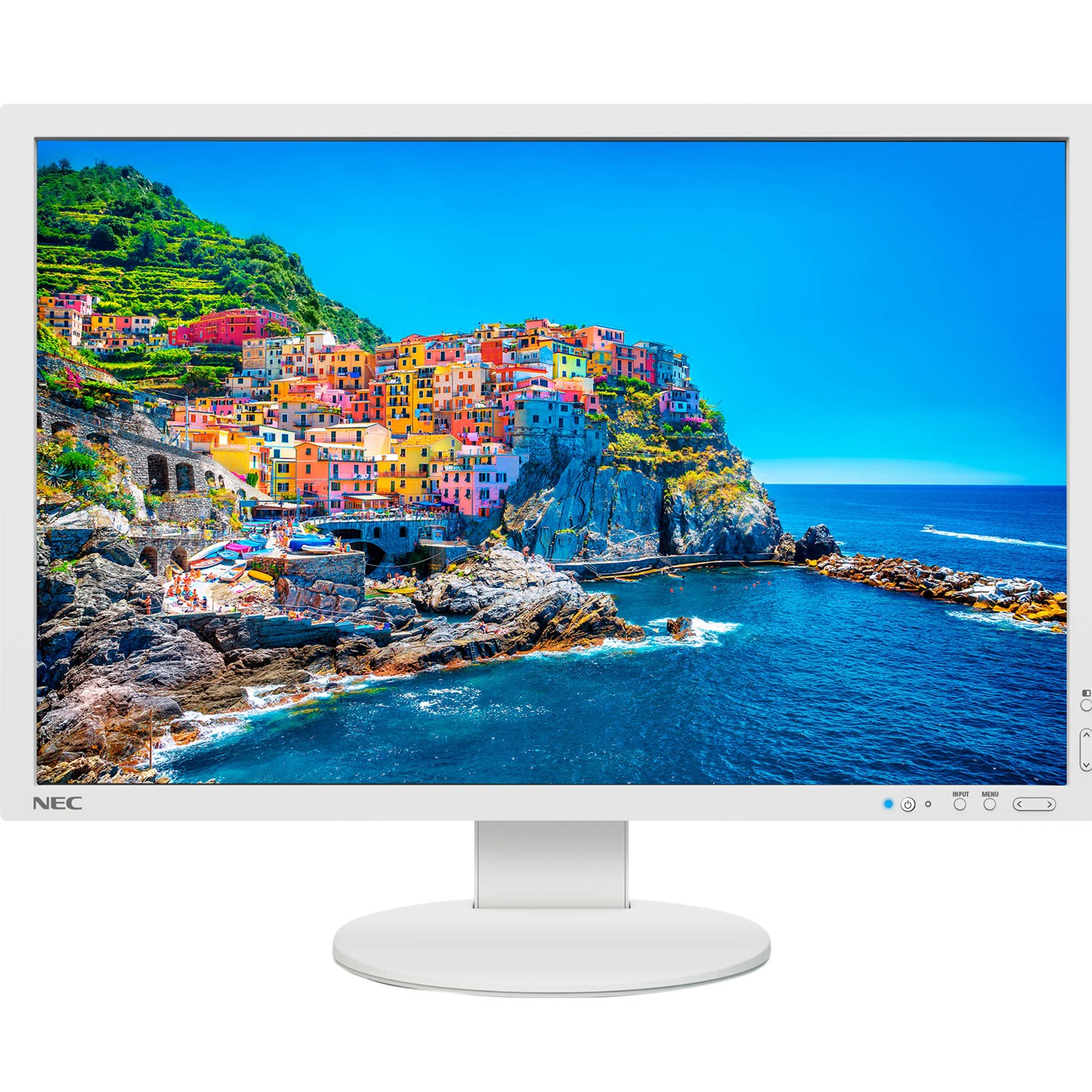 Nec 24In Wide Gamut W-Led 1920X1200