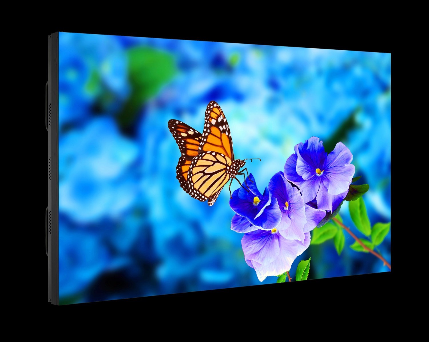 Nec 55In 3YR Warr Nec Video Wall 2K