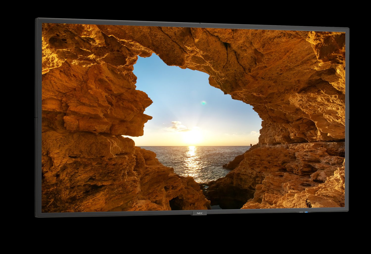 NEC Display 48" Commercial-Grade Large Format Display