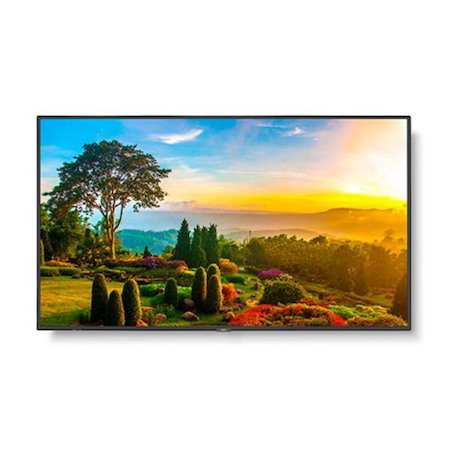 Sharp M-Series M551 55" Professional Display, 4K Uhd, 500-CD/M2 Brightness, Ips, 28% Haze Non-Glare, 300X300 Vesa, 24/7 3Yr Warranty