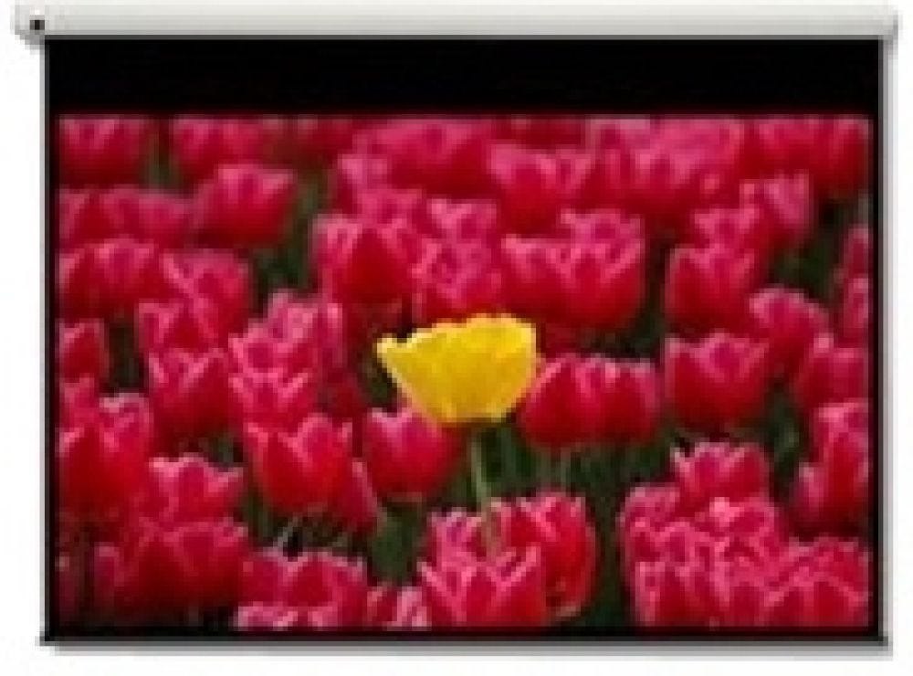 Optoma Panoview De-9120Ega - Projectiescherm