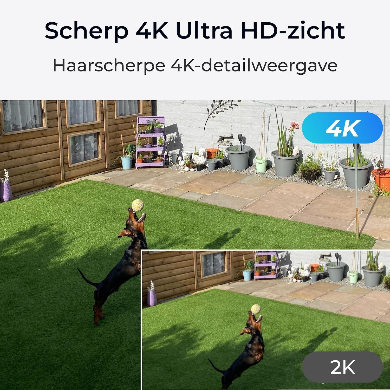Reolink Argus Series B360 - Beveiligingscamera