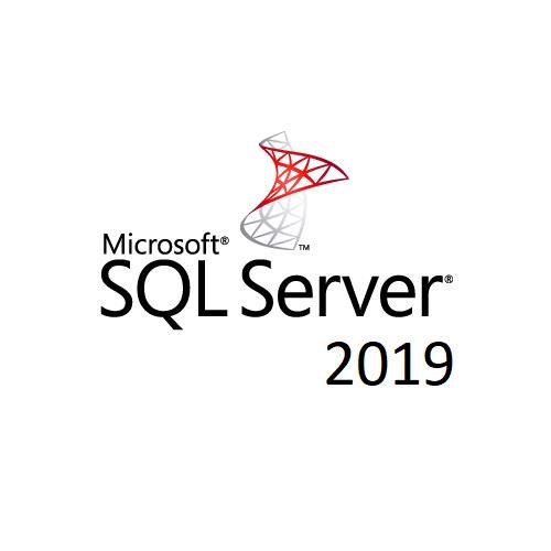 Microsoft SQL Server 2019 Standard - License - 1 License