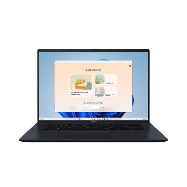 Asus VivoBook 17 M1807HA-S8033W 18.4" Notebook - WUXGA - AMD Ryzen 7 - 16 GB - 1 TB SSD - Quiet Blue