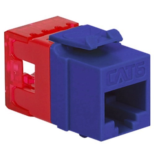 Icc Module- Cat 6- HD- Purple