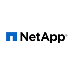 NetApp Io Module,2Pt,100Gbe Iwarp,-C