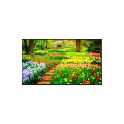 Nec Multisync M491-Ir 49 Led LCD