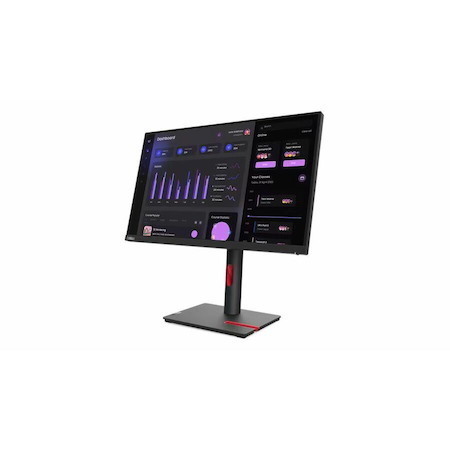 Bundle - Lenovo ThinkVision T24i-30 24" Class Full HD LED Monitor with 2m DisplayPort 1.2 Cable